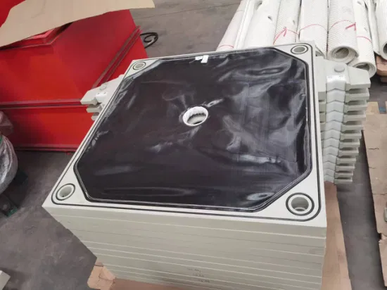 Fujie Original Product Large Size Membrane Plate Special for Mash Filtration/Leading Supplier/Food Industry/Water Purifier/Sludge Dewatering/Factory Price/